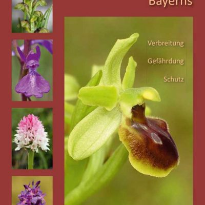 Arbeitskreis Heimische Orchideen Bayern e.V. - Die Orchideen Bayerns. Verbreitung - Gefährdung - Schutz