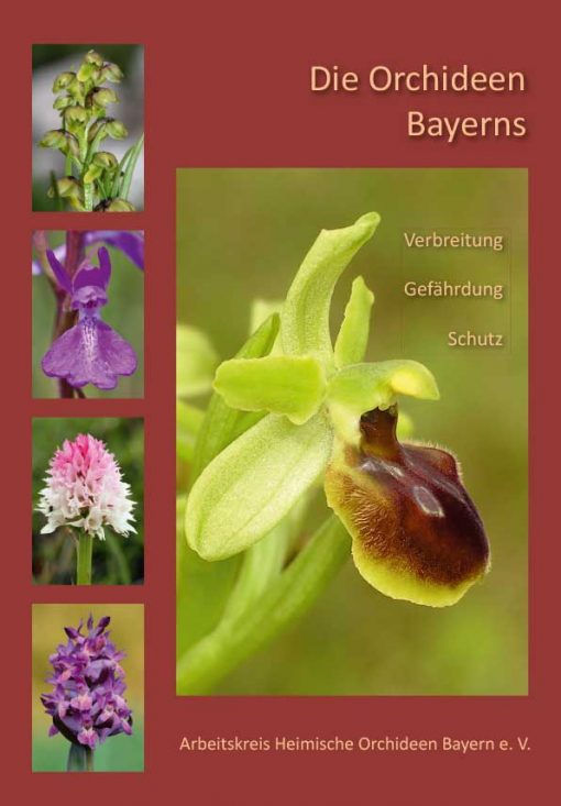 Arbeitskreis Heimische Orchideen Bayern e.V. - Die Orchideen Bayerns. Verbreitung - Gefährdung - Schutz